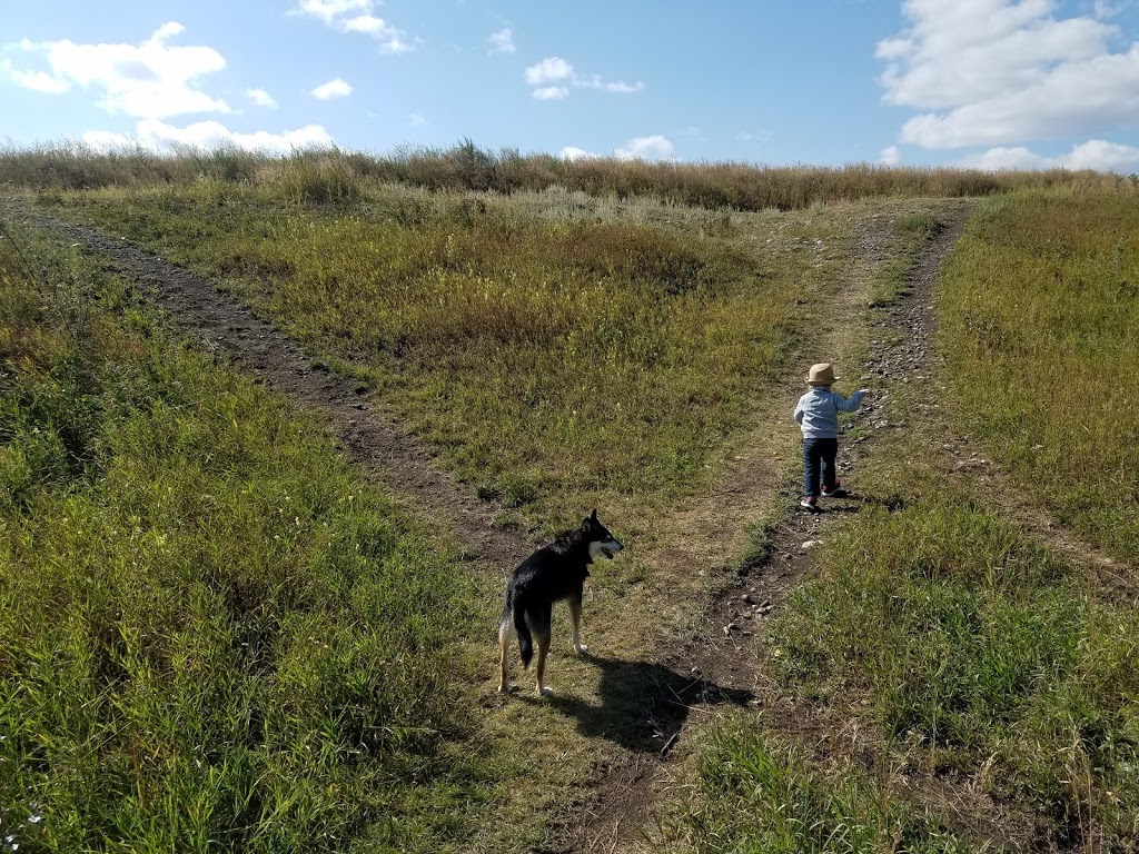 Dog Park | Southeast Calgary, Calgary, AB T0L 0X0, Canada