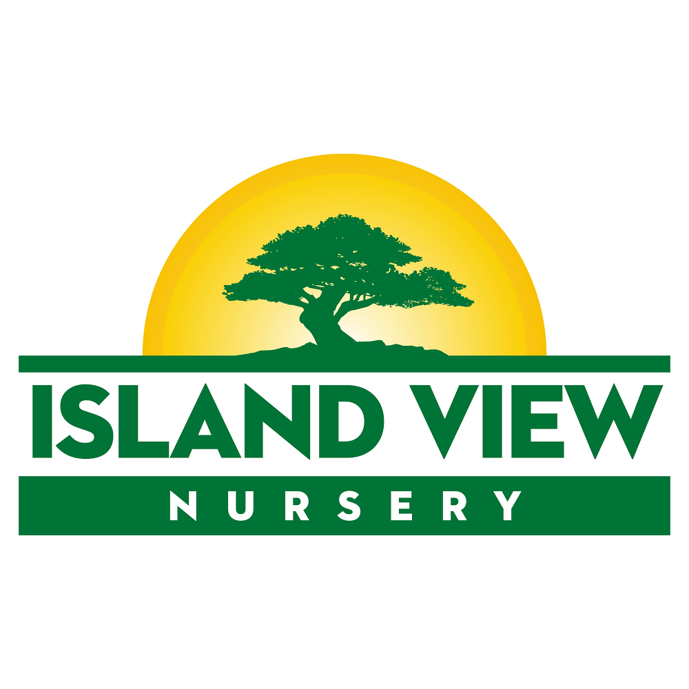 Island View Nursery | 2933 McIntyre Rd, Saanichton, BC V8M 1W3, Canada | Phone: (250) 544-4802