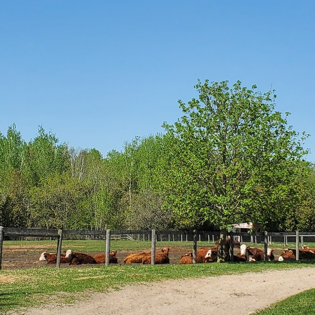 AE Natural Meats | 19619 McCowan Rd, Mount Albert, ON L0G 1M0, Canada | Phone: (905) 955-5749