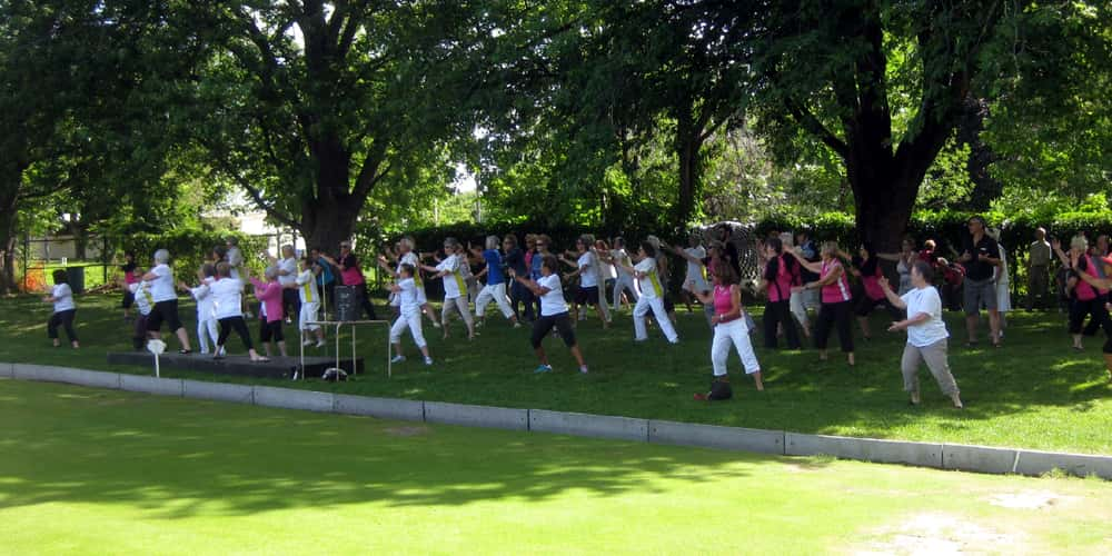 Taichi Qigong by Sandra Mitchell | Rue Toulon, Brossard, QC J4W 2X2, Canada | Phone: (514) 576-4172