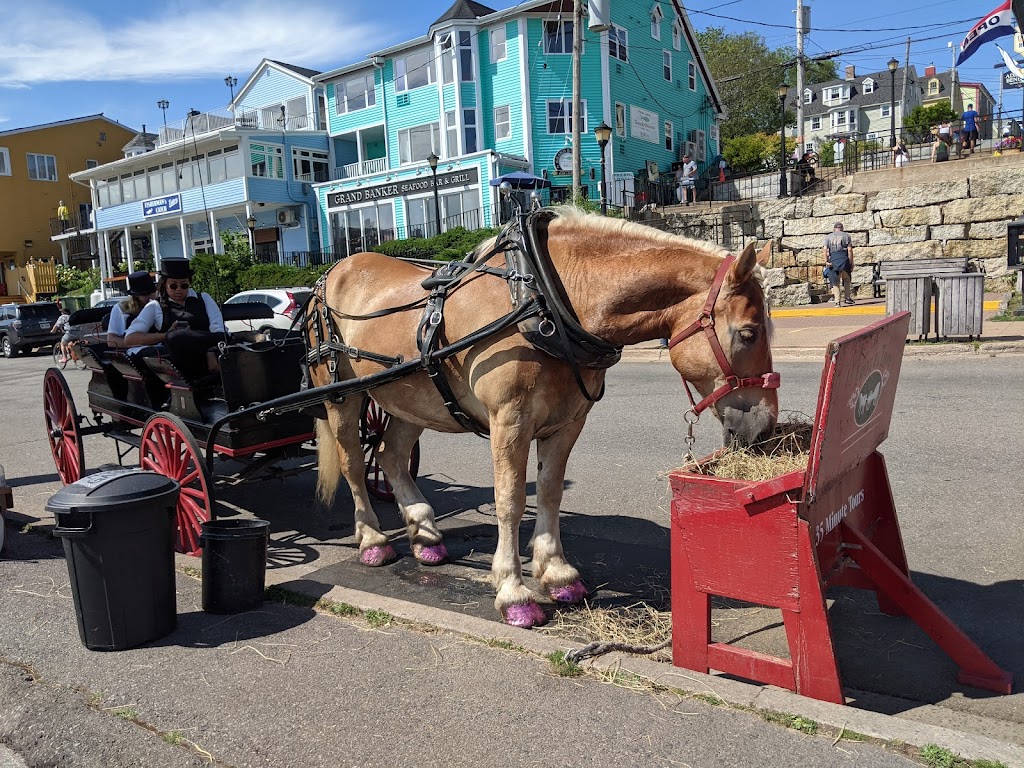 Trot in Time Carriage Tours | 72 Bluenose Dr, Lunenburg, NS B0J 2C0, Canada | Phone: (902) 298-5523