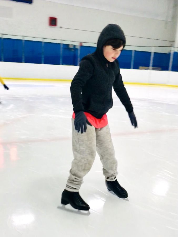 ARTSSA Skating Academy | 10388 Nordel Ct, Delta, BC V4G 1J7, Canada | Phone: (514) 966-2999