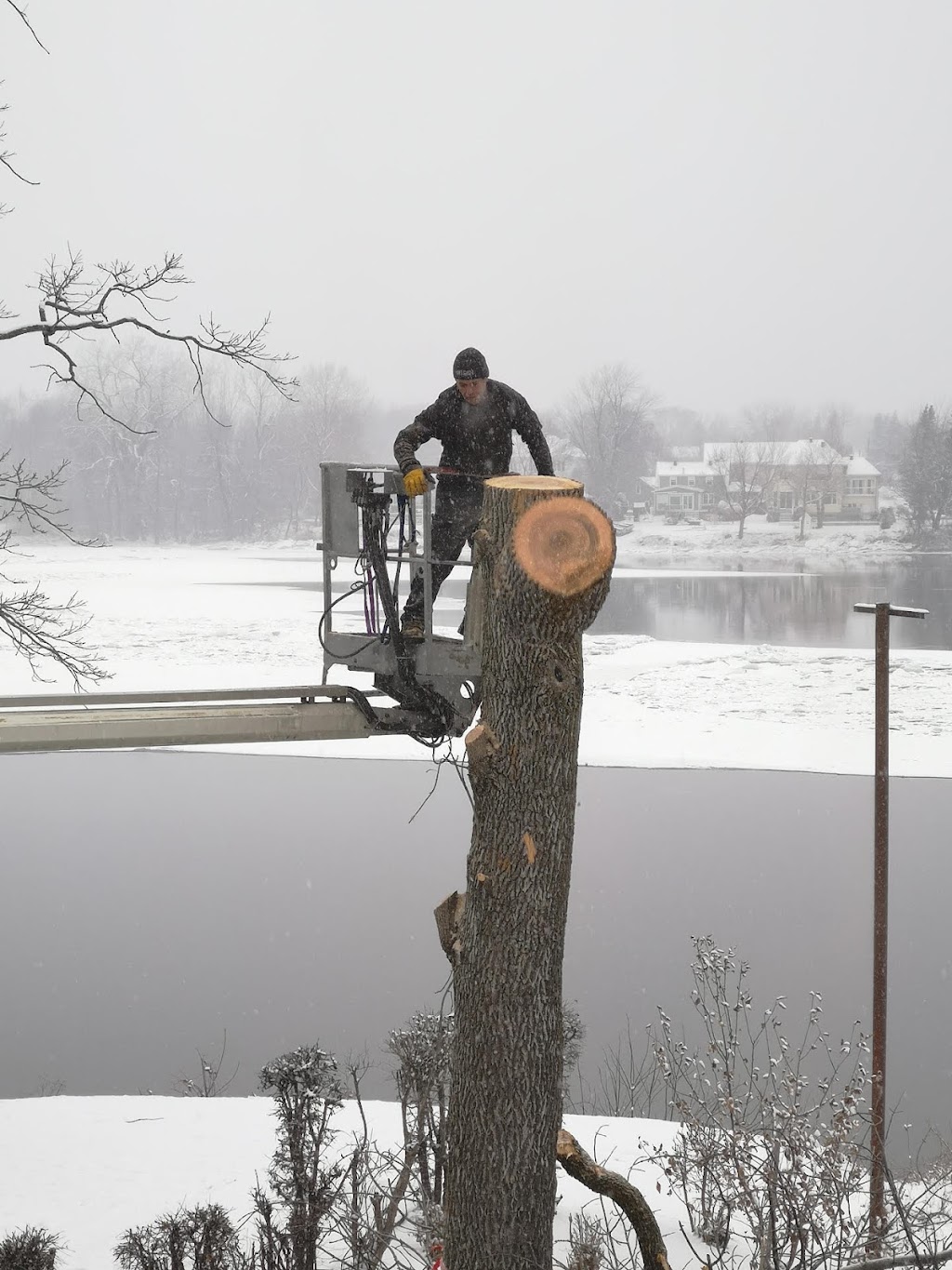 TAS Tree Removal & Pruning | 20 Rue de Lausanne, Kirkland, QC H9H 3Y6, Canada | Phone: (514) 701-2684