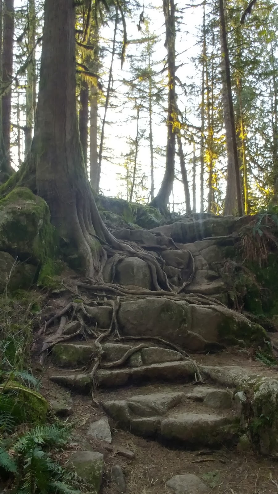 High Knoll Lookout | High Knoll Trail, Coquitlam, BC V3E 3H6, Canada