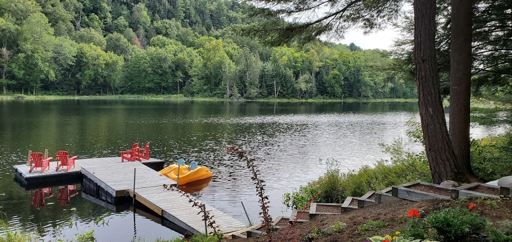 Cedar Narrows Cottage | Livingstone Lake Rd, Algonquin Highlands, ON K0M 1J2, Canada | Phone: (416) 910-0086