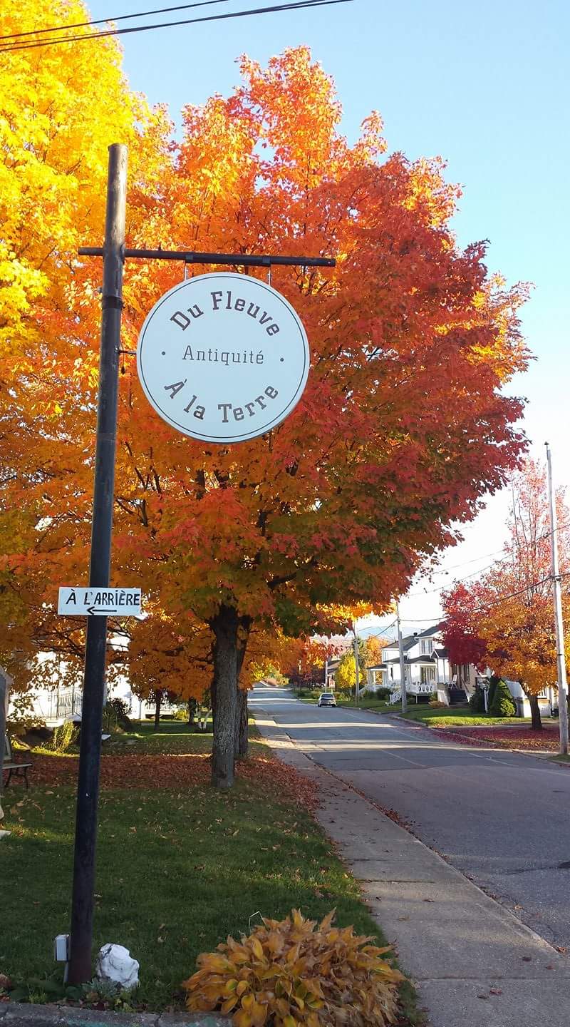 Les antiquités du fleuve à la terre | 28 Rue de la Fabrique, Armagh, QC G0R 1A0, Canada | Phone: (418) 208-2261