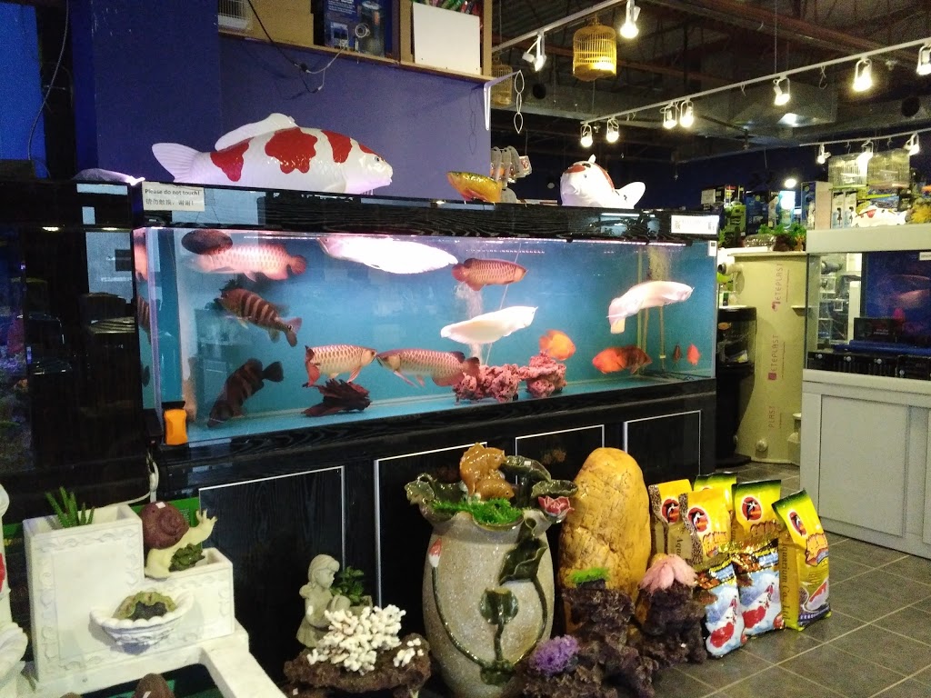 Markham Aquarium 2 U | 5 Hillcroft Dr, Markham, ON L3S 1R6, Canada | Phone: (905) 604-8895