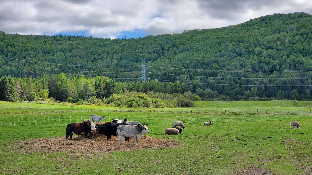 Ferme Marie-Noëlle Beaulieu | 674 Chemin St Laurent, Baie-Saint-Paul, QC G3Z 2L7, Canada | Phone: (418) 435-8931