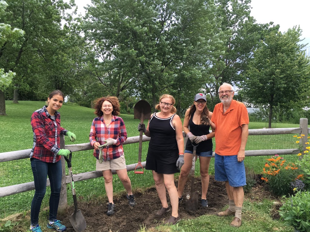 Beach Community Edible Garden | The Beach, Toronto, ON M4L 3W6, Canada