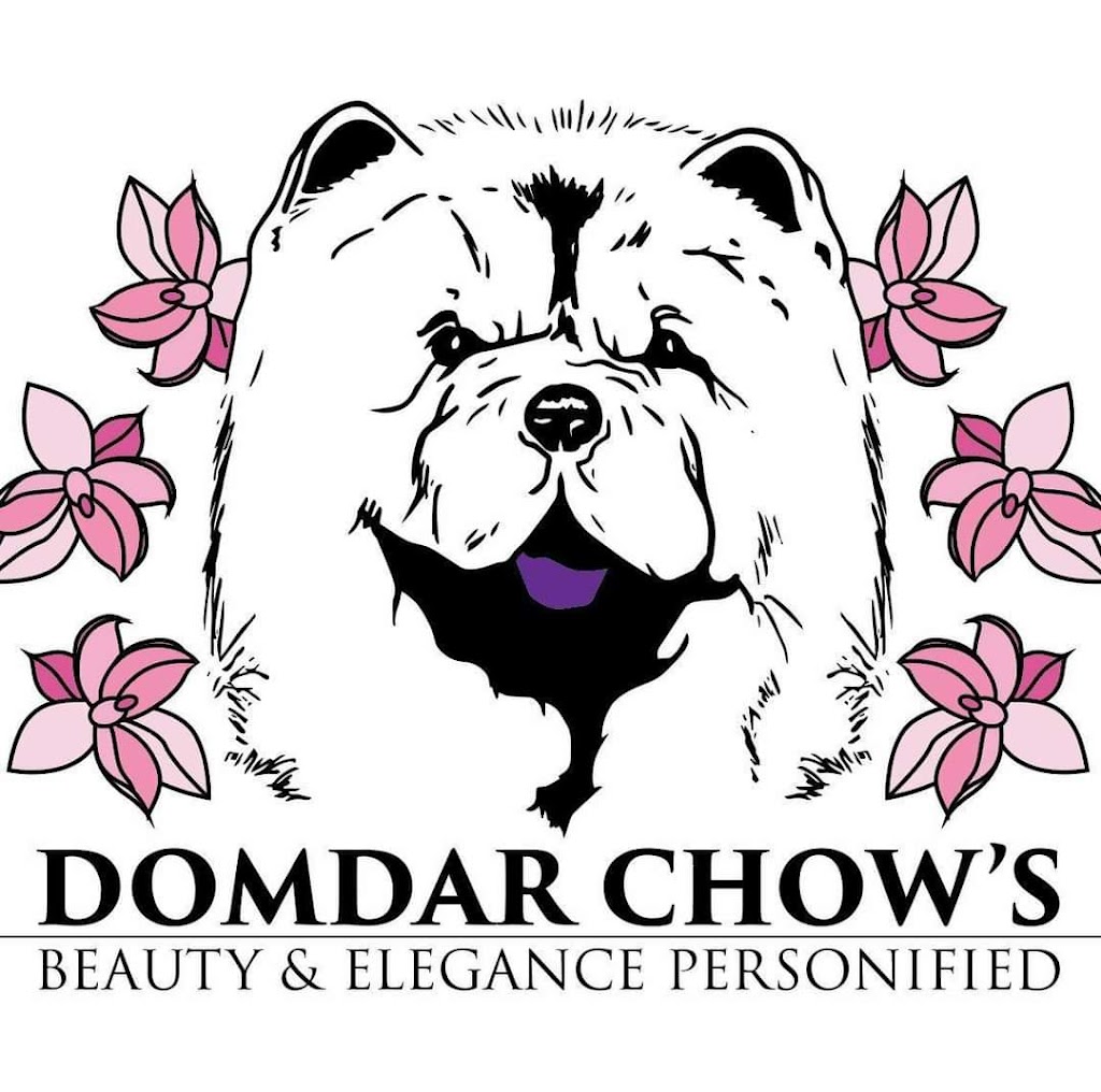 DOMDAR CHOWS | Six Nations, Ohsweken, ON N0A 1M0, Canada | Phone: (519) 774-7164