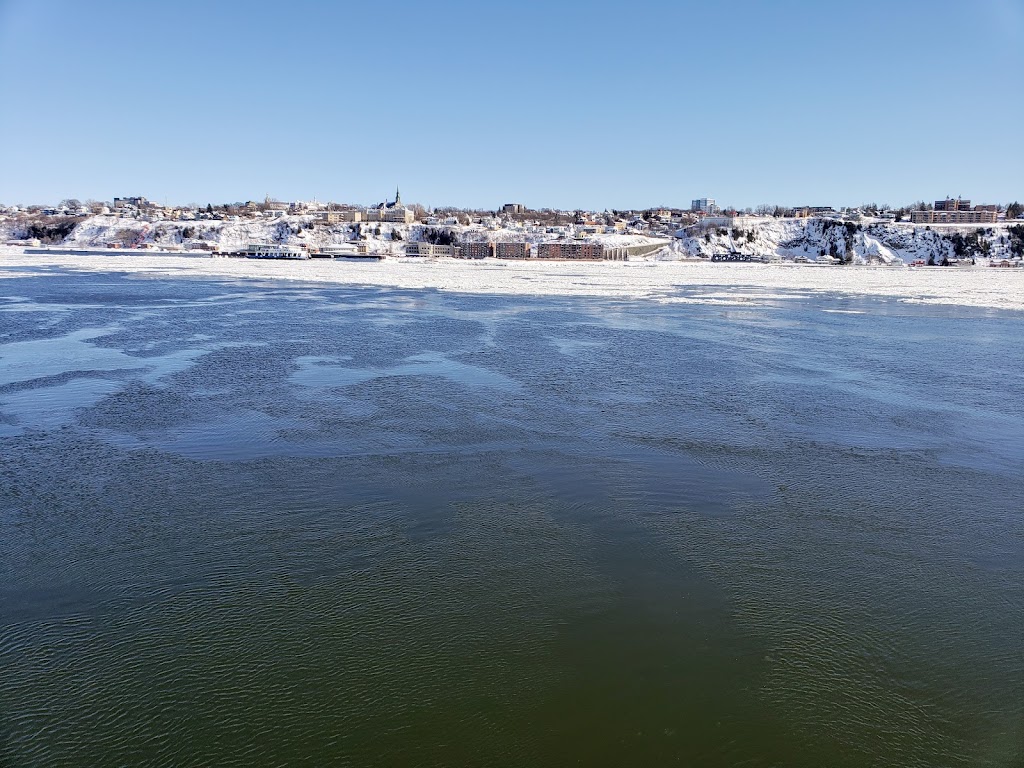 Gare fluviale de Lévis | 5995 Rue Saint-Laurent, Lévis, QC G6V 0P5, Canada | Phone: (877) 787-7483