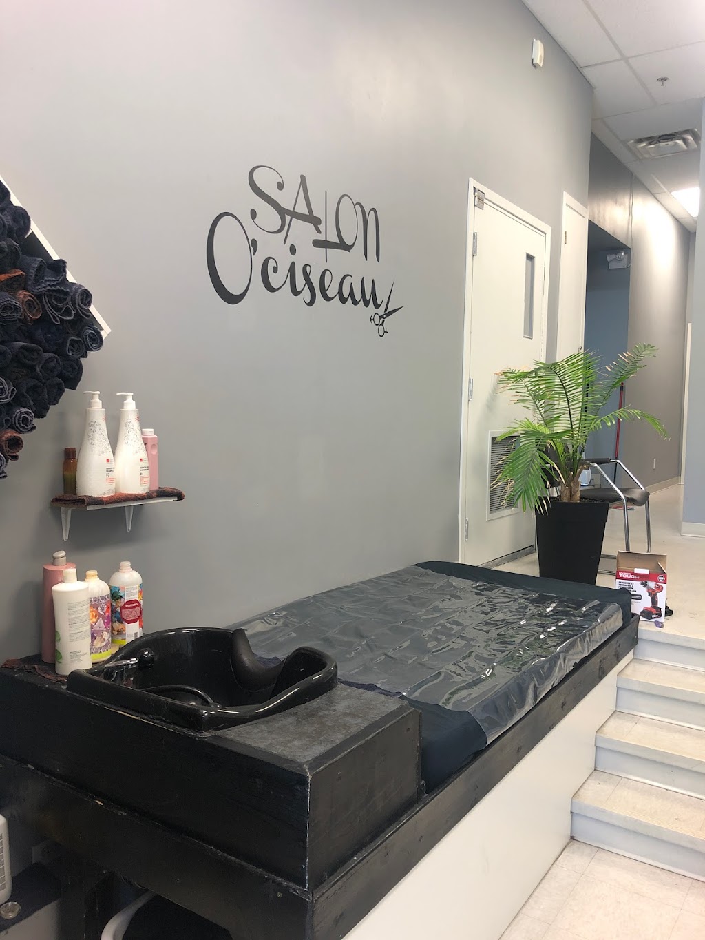 Salon Ociseau | 251 Rue Baby, Joliette, QC J6E 2V6, Canada | Phone: (450) 271-3547