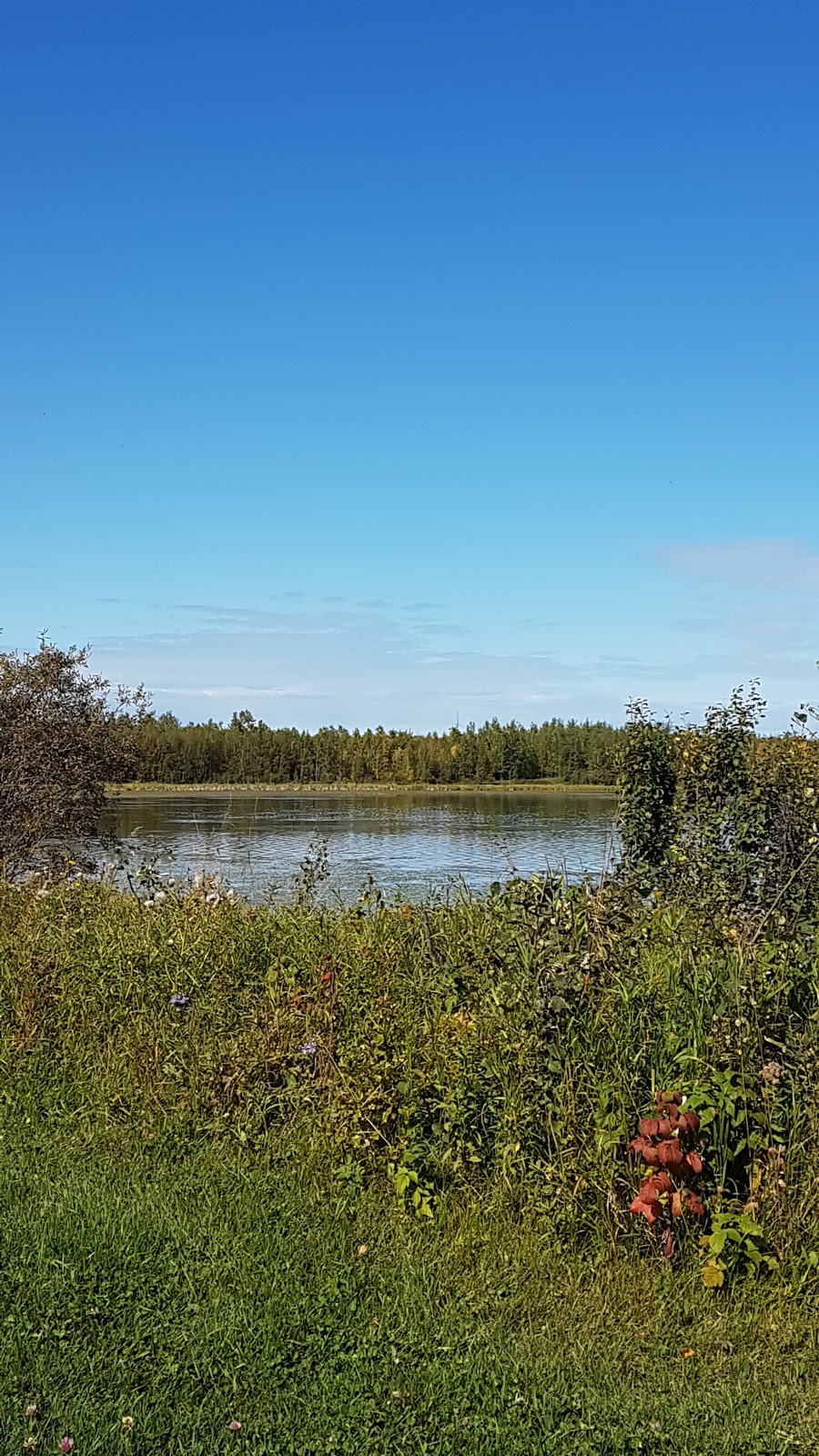 Simons Trailhead # 2 - Elk Island National Park | 20264-20266 Tawayik Lake Access Rd, Ardrossan, AB T8G 2A6, Canada | Phone: (780) 922-5790