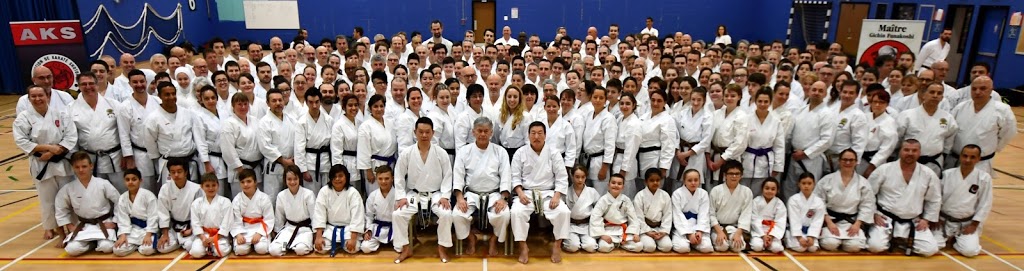 Ryu Karaté Shotokan | 195 Boulevard Brisebois, Châteauguay, QC J6J 3P9, Canada | Phone: (514) 929-7027