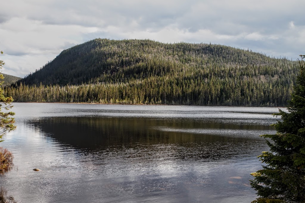 Réserve faunique des Laurentides | Route QC-175 Km 94, Sainte-Brigitte-de-Laval, QC G0A 3K0, Canada | Phone: (418) 528-6868