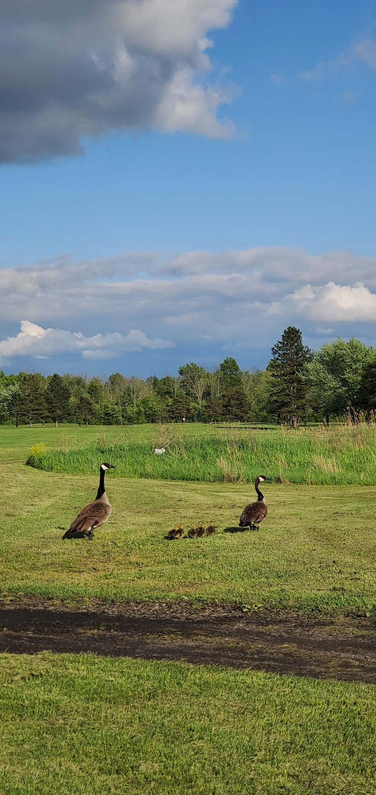 Pelham Hills Golf Club | 196 Webber Rd, Welland, ON L3B 5N8, Canada | Phone: (905) 735-6768