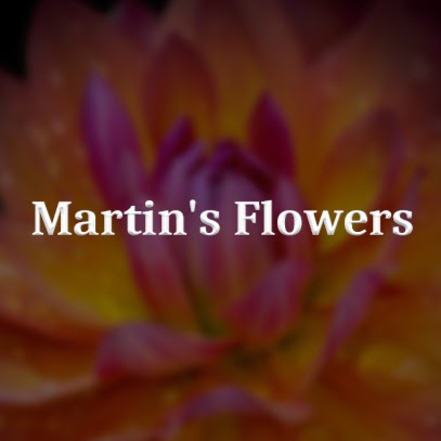 Martins Flowers | 13604 Victoria Rd N #3, Summerland, BC V0H 1Z5, Canada | Phone: (250) 494-5432