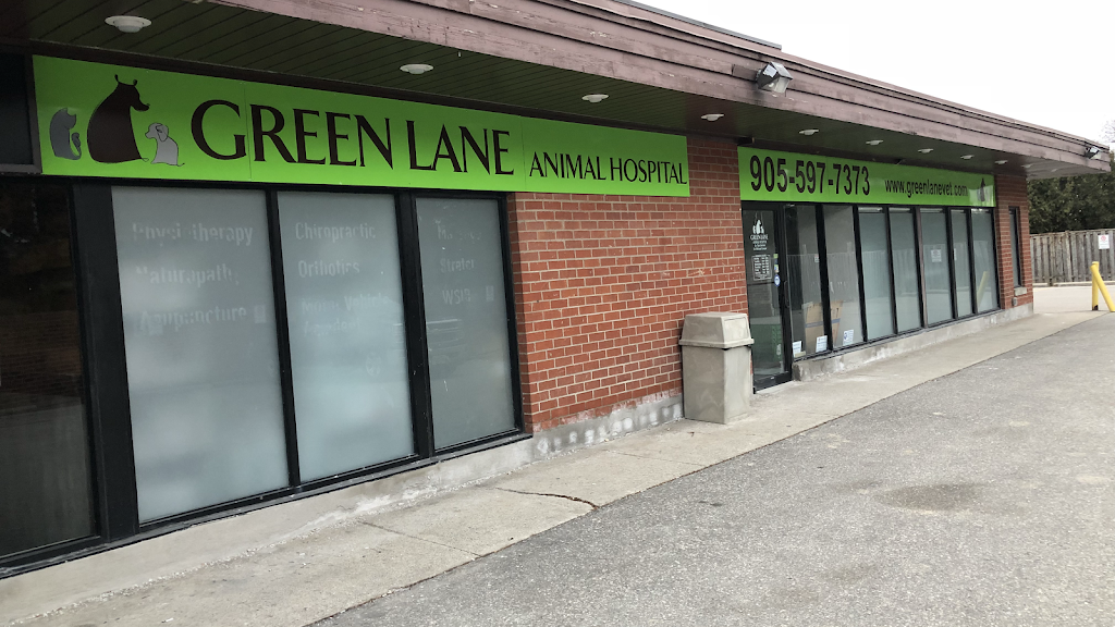 Green Lane Animal Hospital | 392 John St, Thornhill, ON L3T 5W6, Canada | Phone: (905) 597-7373