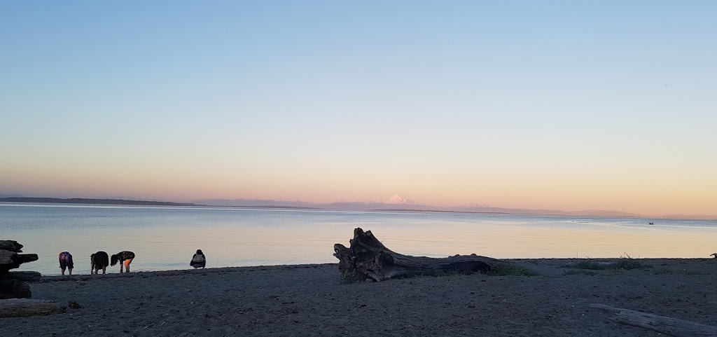 Centennial Beach Boundary Bay Regional Park | 541 Centennial Pkwy, Delta, BC V4L 2L5, Canada | Phone: (604) 349-0371