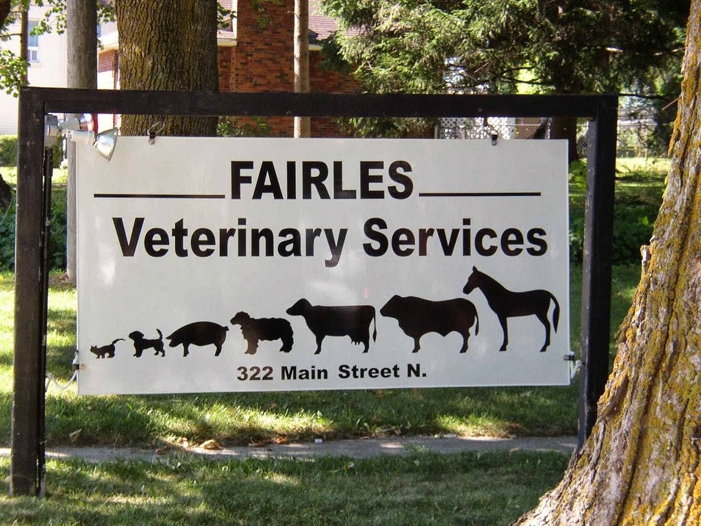 Fairies Veterinary Srvcsrprtn | 322 Main St N, Mount Forest, ON N0G 2L2, Canada | Phone: (519) 323-4422