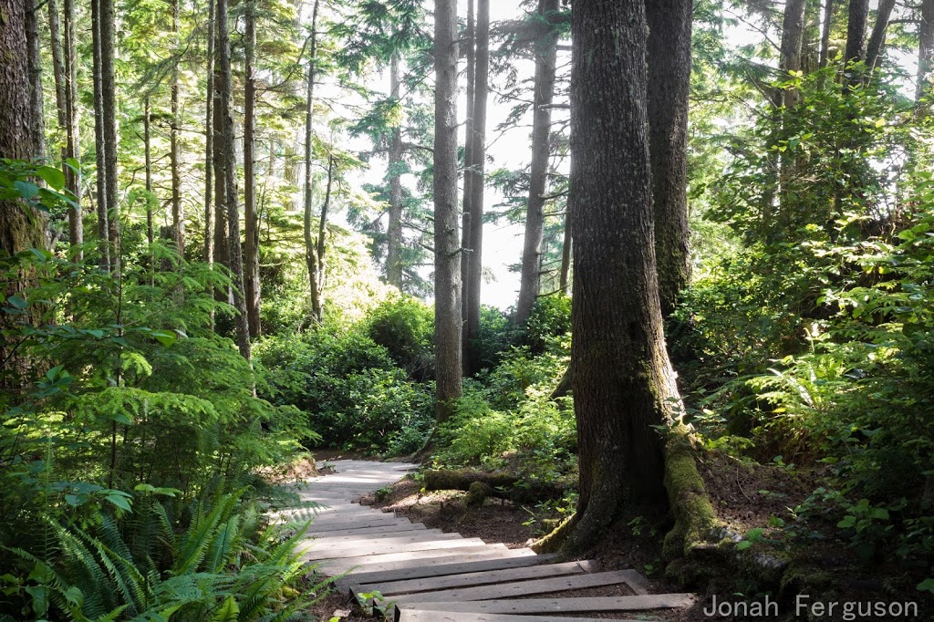 Juan de Fuca - China Beach Campground | 12287 HWY 14, Capital H (Part 2), BC V0S, Canada