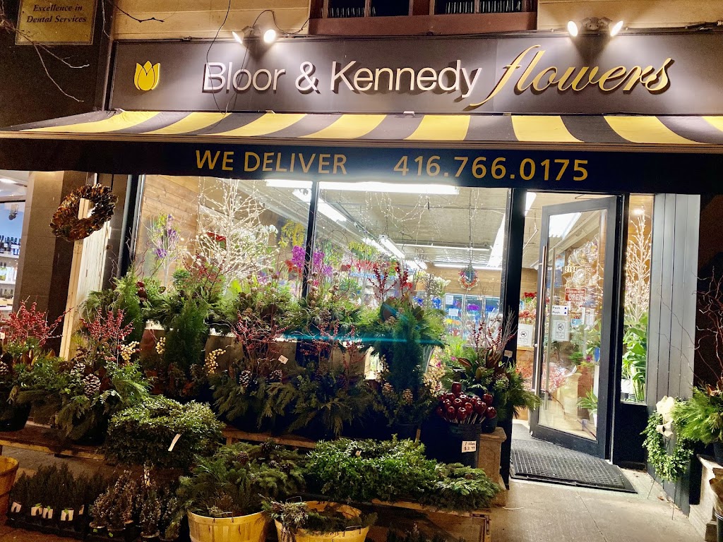 Bloor & Kennedy Flower Shop | 2194 Bloor St W, Toronto, ON M6S 1N4, Canada | Phone: (416) 766-0175