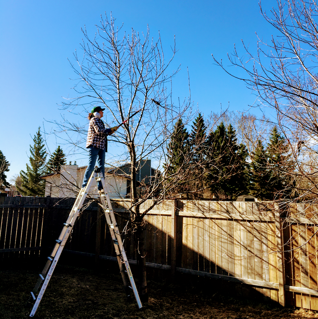 Low Profile Lawn Care | 210 Centennial Dr, Wetaskiwin, AB T9A 2L5, Canada | Phone: (780) 360-9917