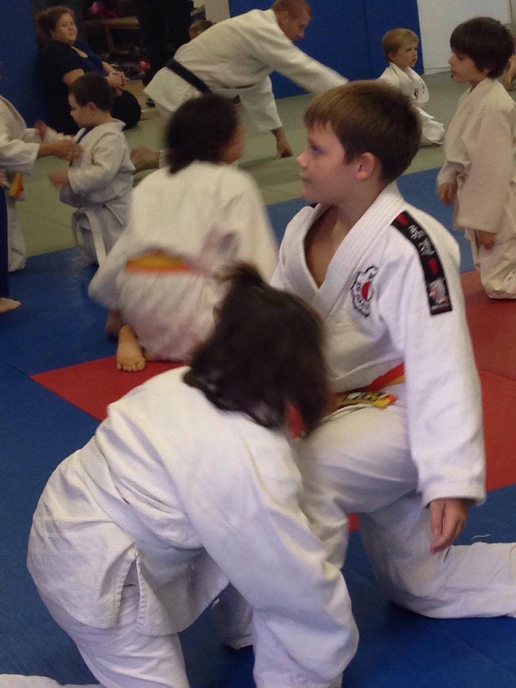 Judo Magog | 189 Rue Tupper, Magog, QC J1X 1J8, Canada | Phone: (819) 434-7275