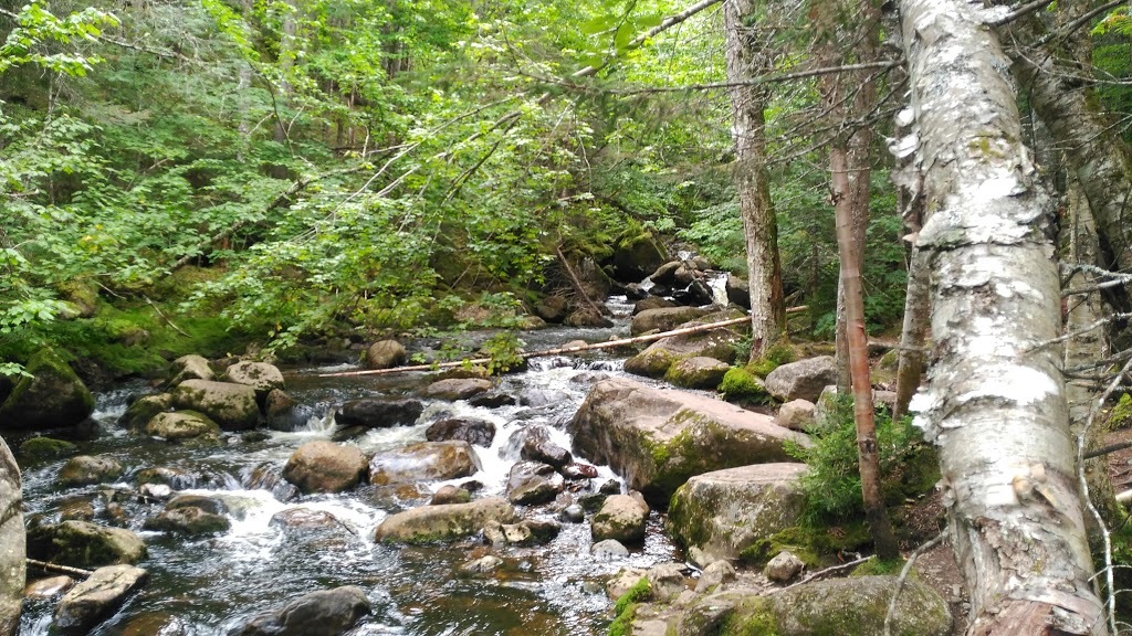 Parc National de la Jacques-Cartier | 103 Chemin du Parc-National, Stoneham-et-Tewkesbury, QC G3C 2T5, Canada | Phone: (418) 848-3169