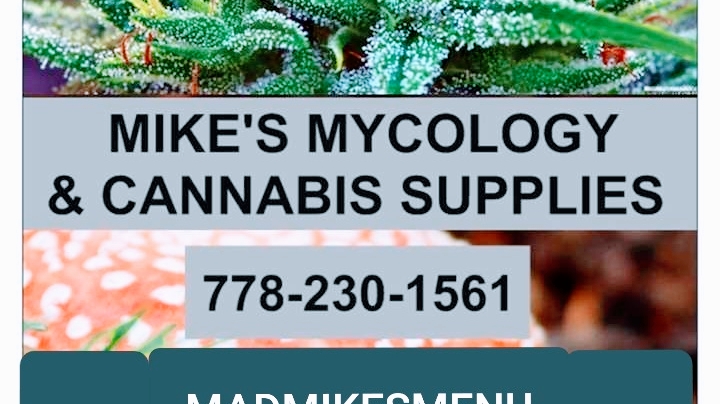 madmikesmenu.com | 10 Bedingfield St, Port Moody, BC V3H 3N1, Canada | Phone: (778) 230-1561