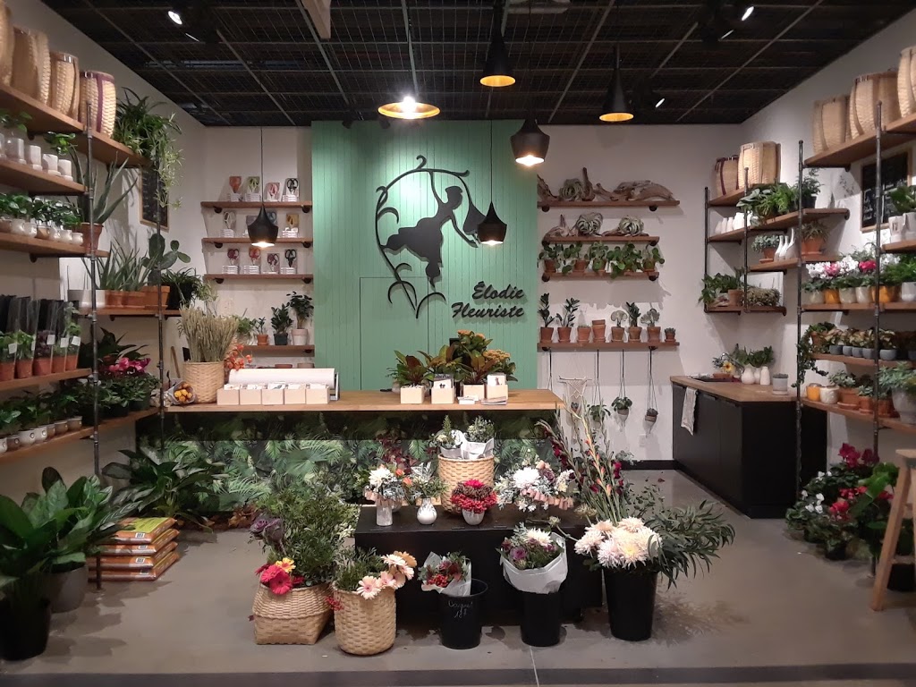 Élodie Fleuriste | 5401 Boulevard des Galeries, Québec, QC G2K 1N4, Canada | Phone: (418) 353-2983