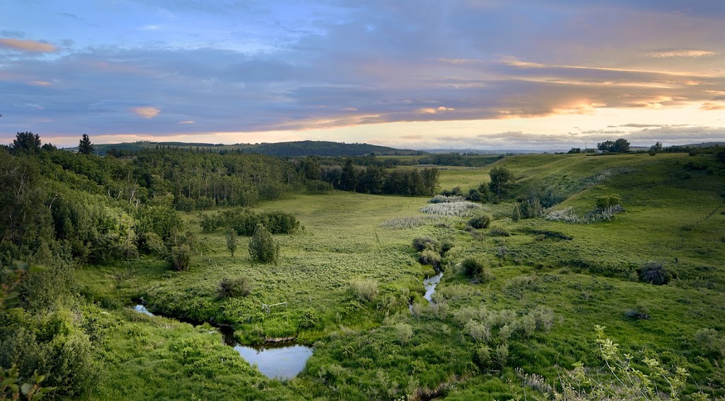 Highfield Land Management | 11410 27 St SE Suite #19, Calgary, AB T2Z 3R6, Canada | Phone: (403) 723-2106