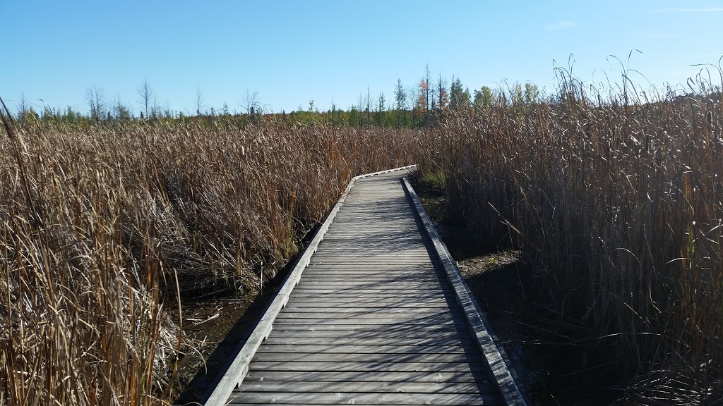 Mer Bleue Bog Trail | Ridge Rd, Ottawa, ON K0A 2Y0, Canada | Phone: (613) 239-5000