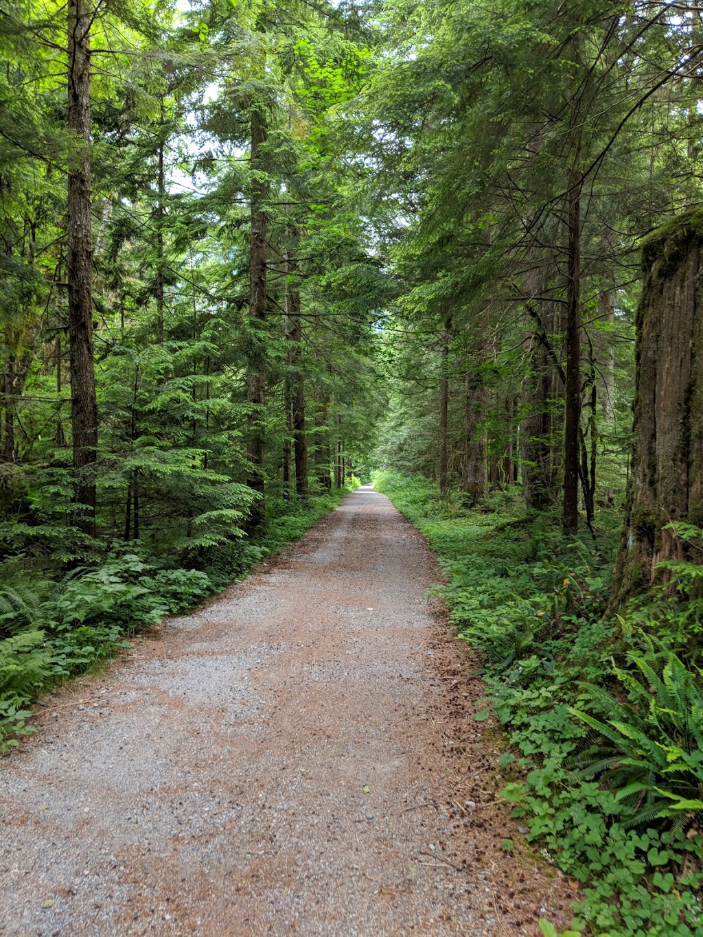 Fishermans trail | Spur 4, North Vancouver, BC V7J, Canada