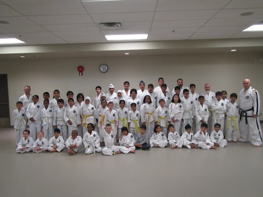 Destiny Martial Arts | 7555 Falconridge Blvd NE #10, Calgary, AB T3J 0C9, Canada
