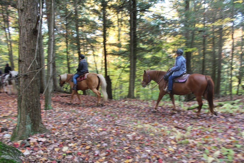 Camping Farm Pégasus S.e.n.c. | 261a Route 143, Ulverton, QC J0B 2B0, Canada | Phone: (819) 826-3825