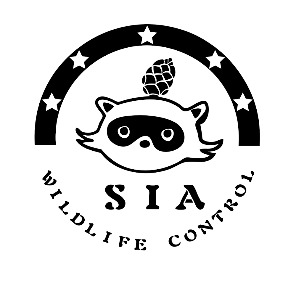 SIA Wildlife Control Inc. | 200 Tom Taylor Crescent, Newmarket, ON L3X 3E8, Canada | Phone: (647) 220-2728