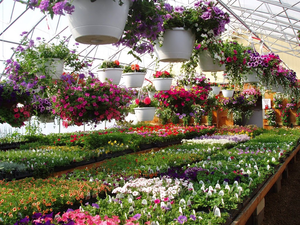 Westway Gardens Greenhouse | 200 Railway Ave, Bittern Lake, AB T0C 0L0, Canada | Phone: (780) 672-6029