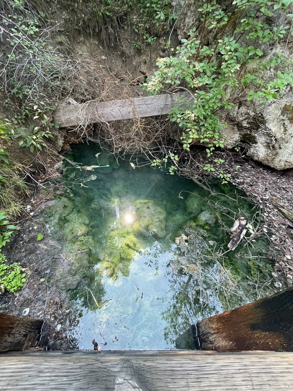 Cave and Basin National Historic Site | 311 Cave Ave, Banff, AB T1L 1K2, Canada | Phone: (403) 762-1566