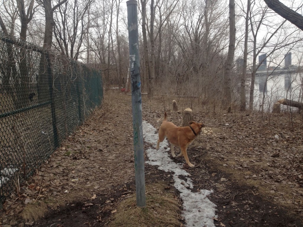 Champion Park | Verdun, QC H4G, Canada