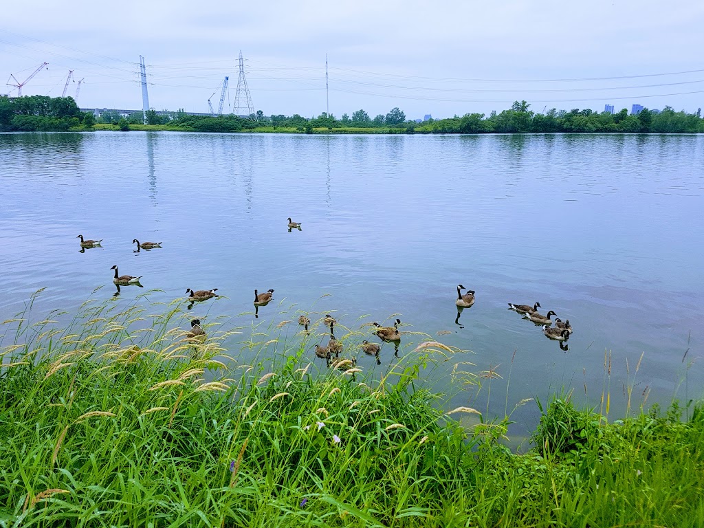 Couvée Islands Bird Sanctuary | Saint-Lambert, QC J4S, Canada