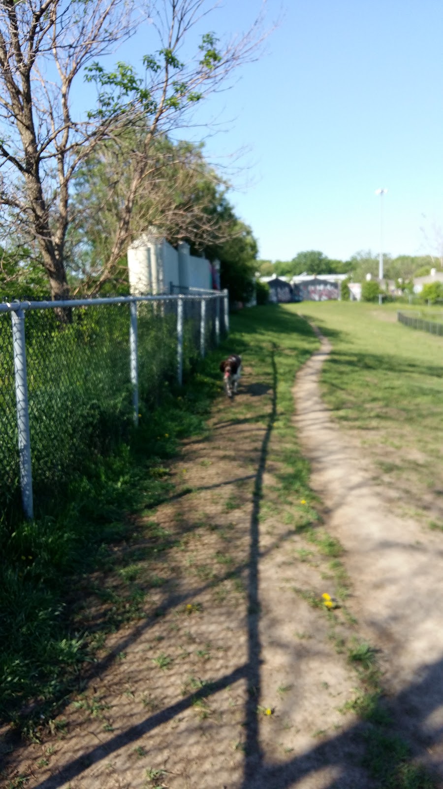 dog park Falco (Laval-des-Rapides) | 5V2, 6e Rue, Laval, QC H7N 5V2, Canada