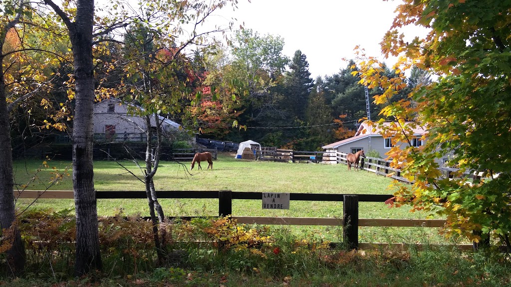 La Ferme Duquette | 1315 Chem. du 10 Rang, Val-David, QC J0T 2N0, Canada | Phone: (819) 322-3829