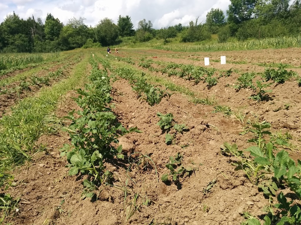 Ferme La Prucheraie | 974 Chem. Arel, Melbourne, QC J0B 2B0, Canada | Phone: (819) 826-3228