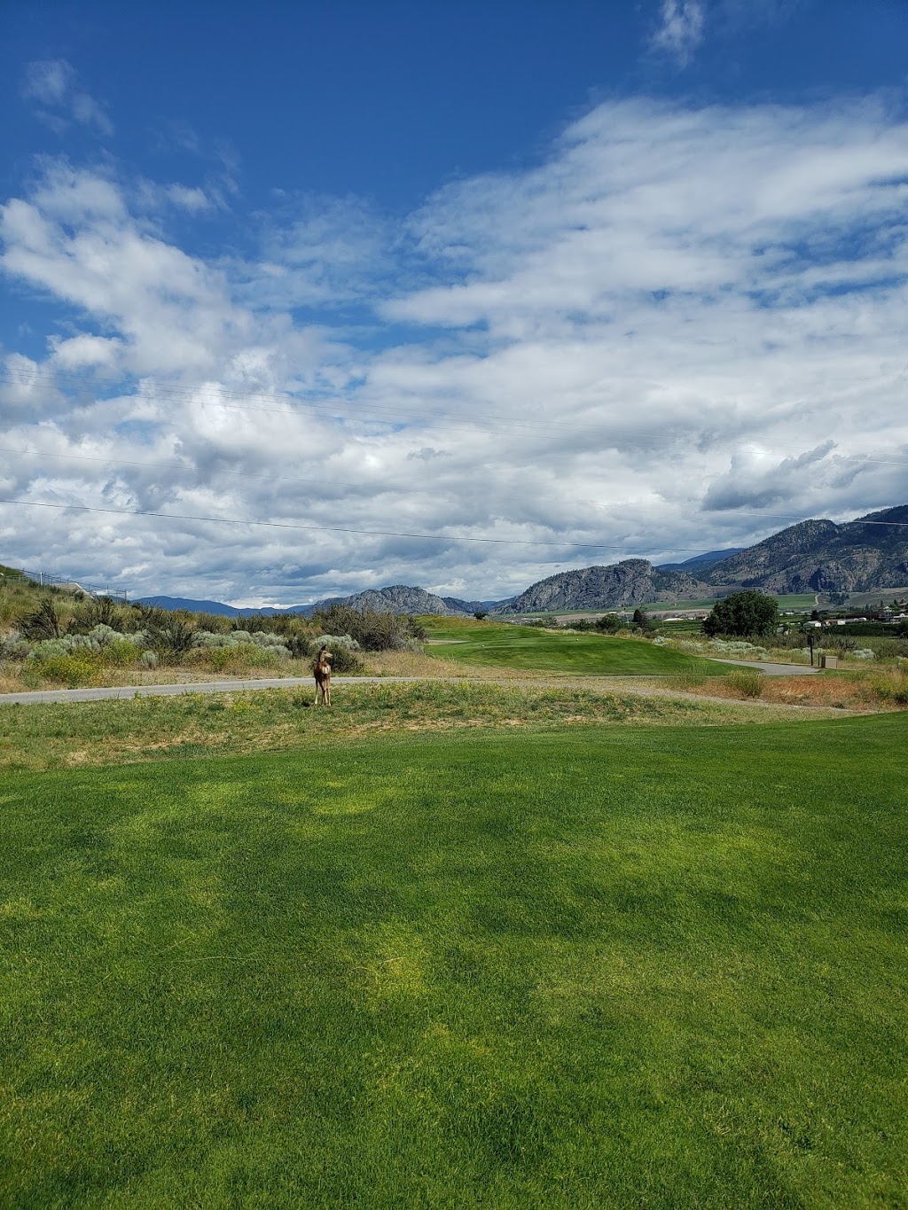 Osoyoos Golf Club | 12300 Golf Course Dr, Osoyoos, BC V0H 1V4, Canada | Phone: (250) 495-7003