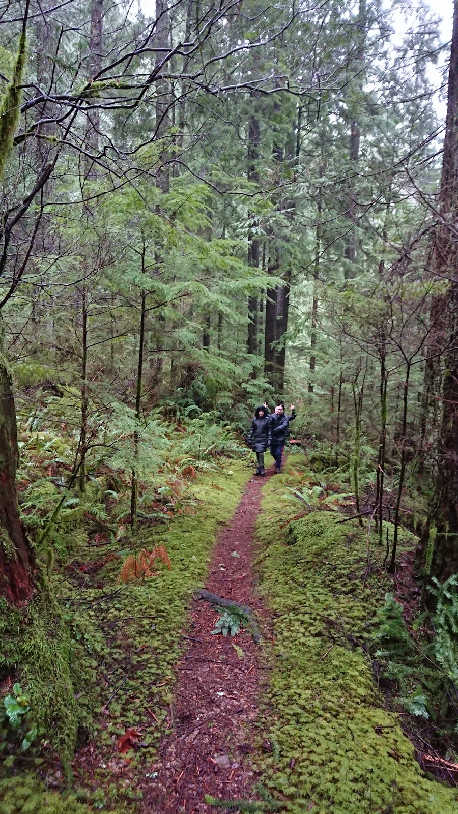 Horseshoe Trail | Horseshoe Trail, Anmore, BC V3H 4Y7, Canada