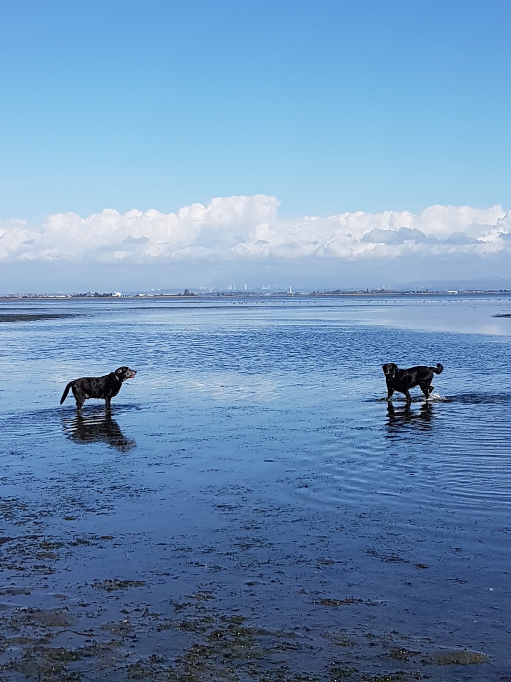 Boundary Bay Regional Park | Boundary Bay Rd, Delta, BC V4L 1N2, Canada | Phone: (604) 520-6442