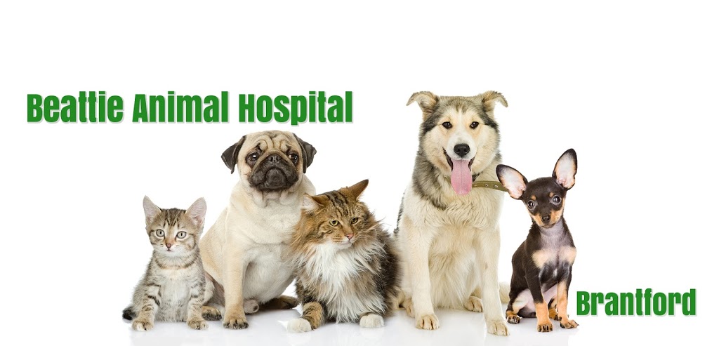 Beattie Animal Hospital | 70 Paris Rd, Brantford, ON N3R 1H9, Canada | Phone: (519) 756-1770