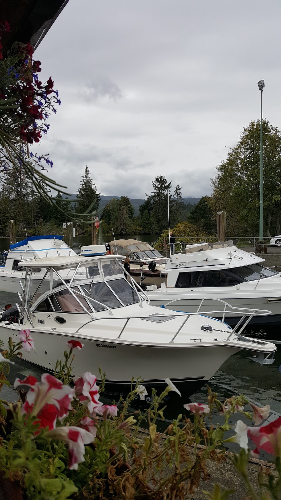 Clutesi Haven Marina | 5104 River Rd, Port Alberni, BC V9Y 6Z2, Canada | Phone: (250) 724-6837