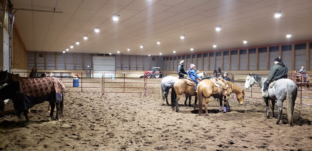 Fired Up Performance Horses | 340068 AB-805, Wimborne, AB T0M 2G0, Canada | Phone: (403) 506-7037